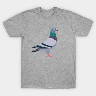 Pigeon T-Shirt